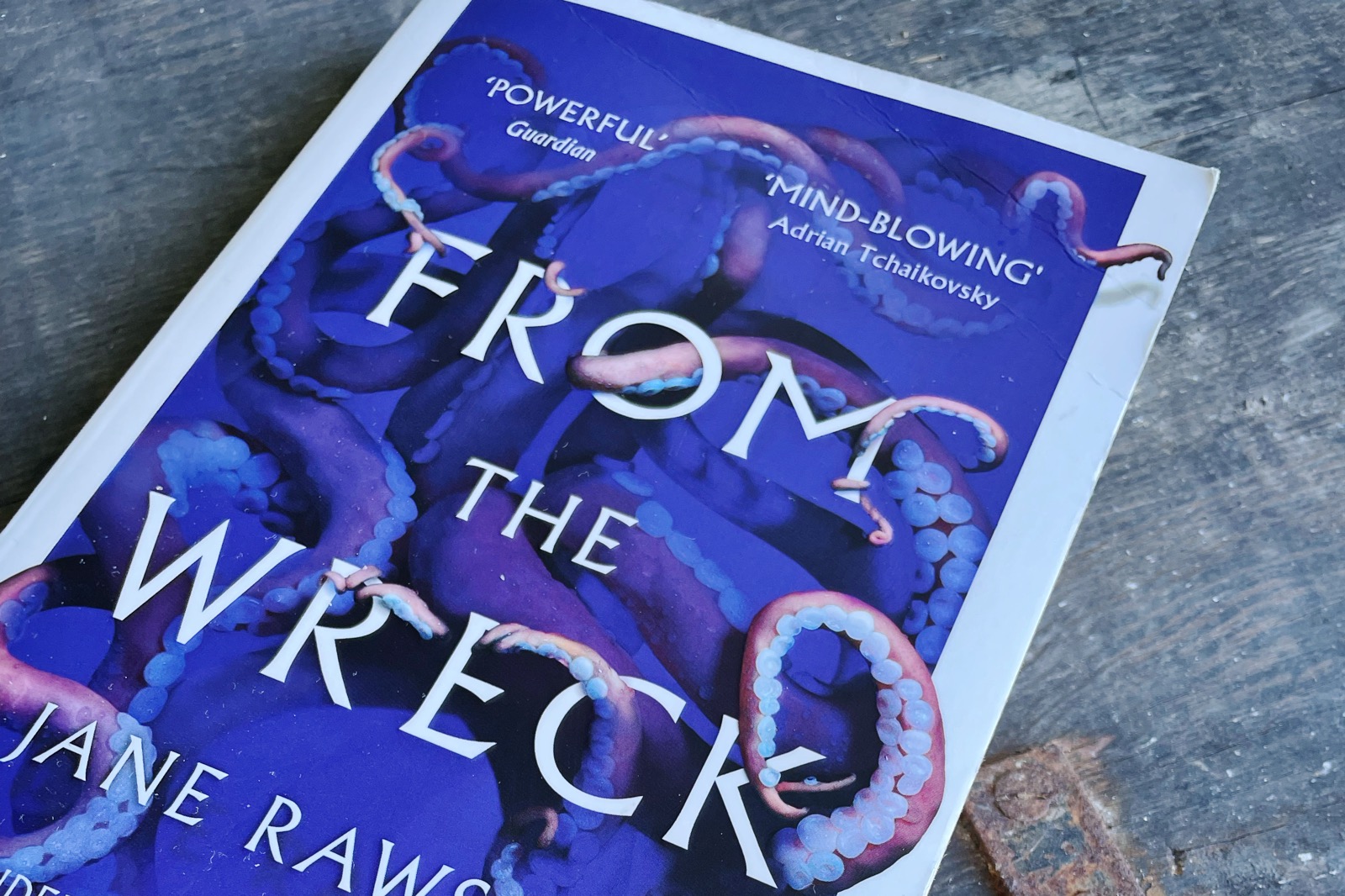 You are currently viewing Rezension: From the Wreck